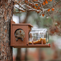 Kingsyard Recycled Plastic Squirrel Feeder 6 Kingsyard Recycled Plastic Squirrel Feeder 6