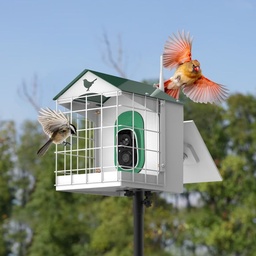 Titto Squirrel Proof Bird Feeder with Camera 1 Titto Squirrel Proof Bird Feeder with Camera 1