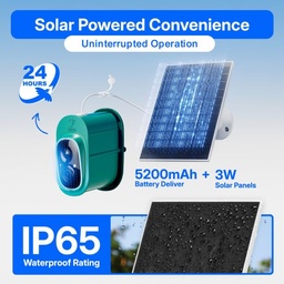 Titto Squirrel Proof Bird Feeder with Camera 4 Titto Squirrel Proof Bird Feeder with Camera 4