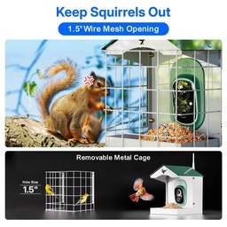 Titto Squirrel Proof Bird Feeder with Camera 6 Titto Squirrel Proof Bird Feeder with Camera 6