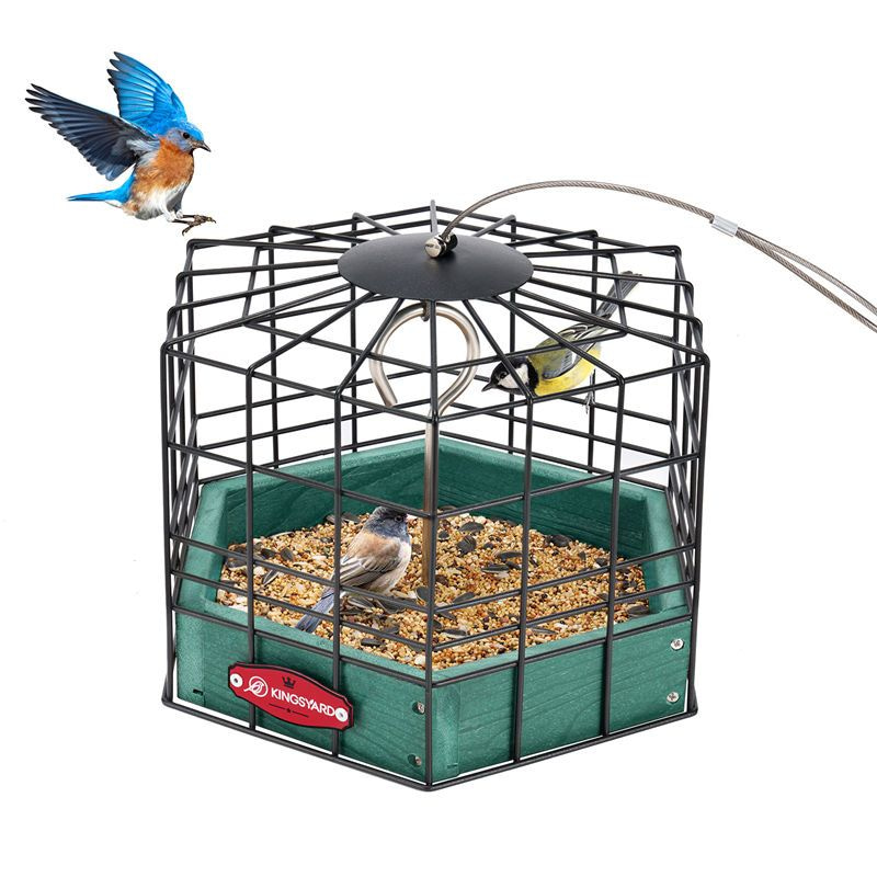 Kingsyard Squirrel-Proof Platform Hanging Bird Feeder