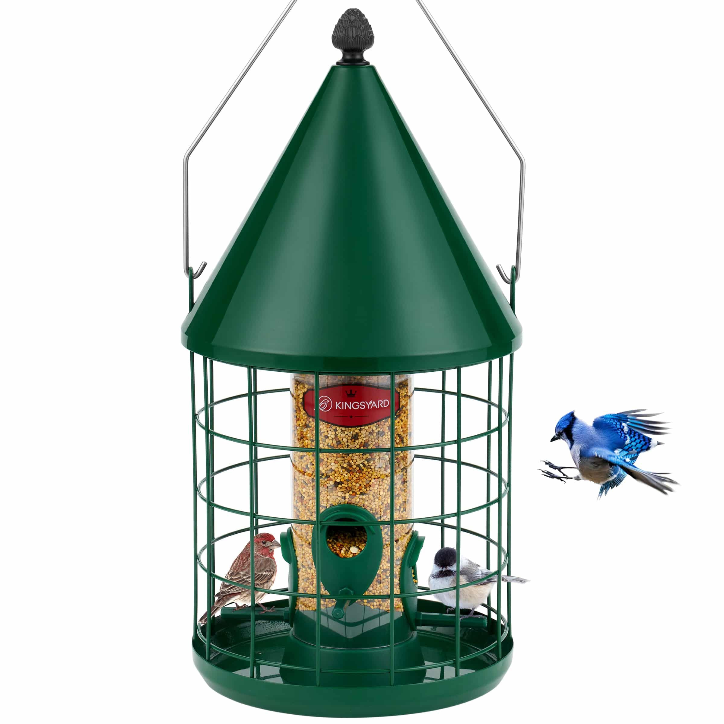 Kingsyard Caged Squirrel Proof Tube Bird Feeder with Rainproof Dome