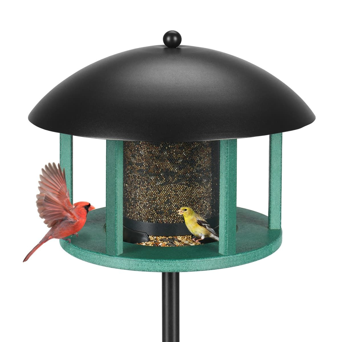 Kingsyard Platform Bird Feeder with Protective Dome