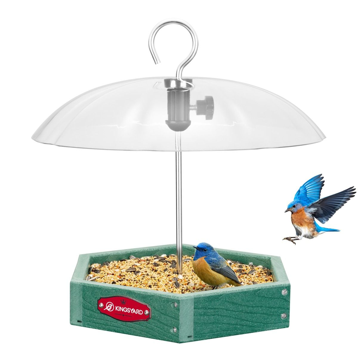 Kingsyard Recycled Plastic Platform Bird Feeder with Adjustable Dome