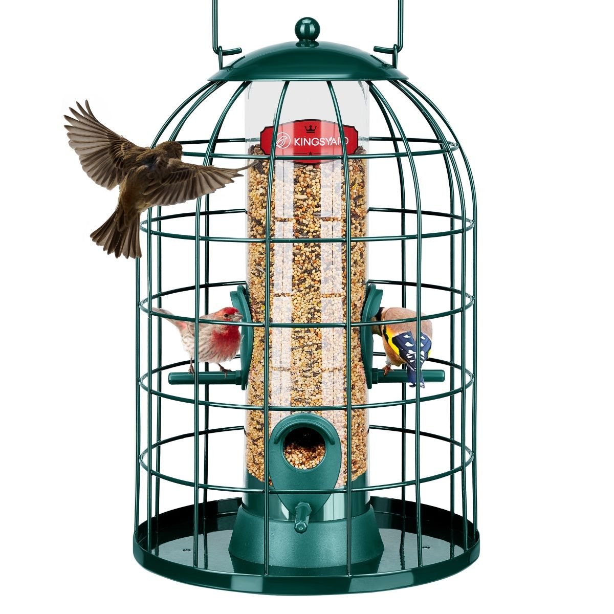 Kingsyard Caged Squirrel Proof Tube Feeder with Rainproof Design
