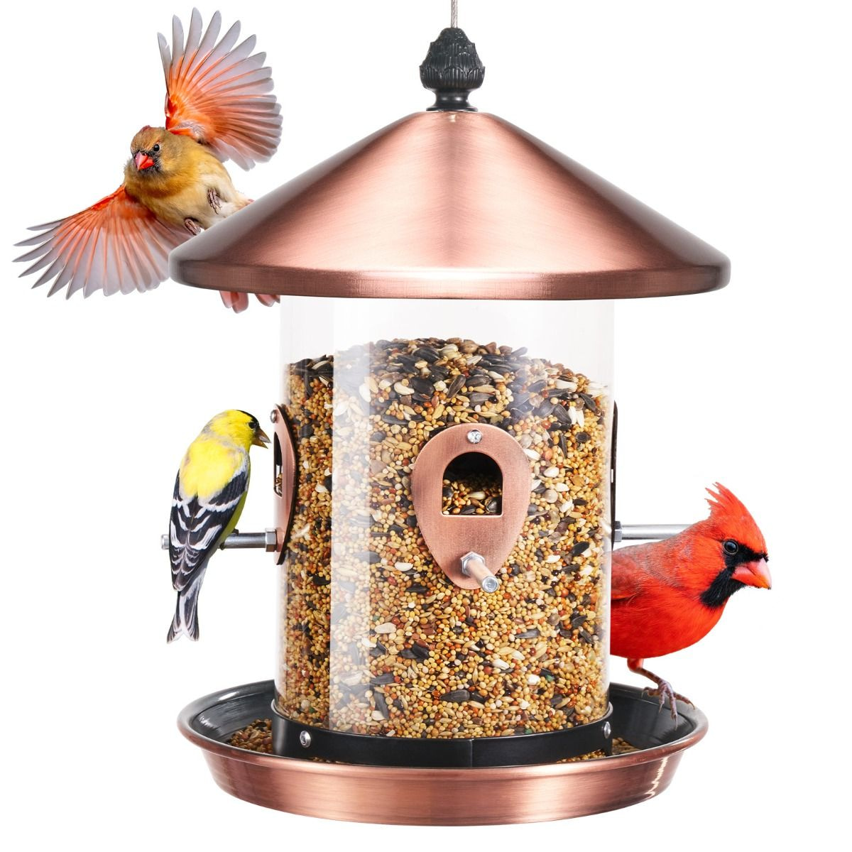 Kingsyard Weatherproof Tube Bird Feeder with 4 Ports