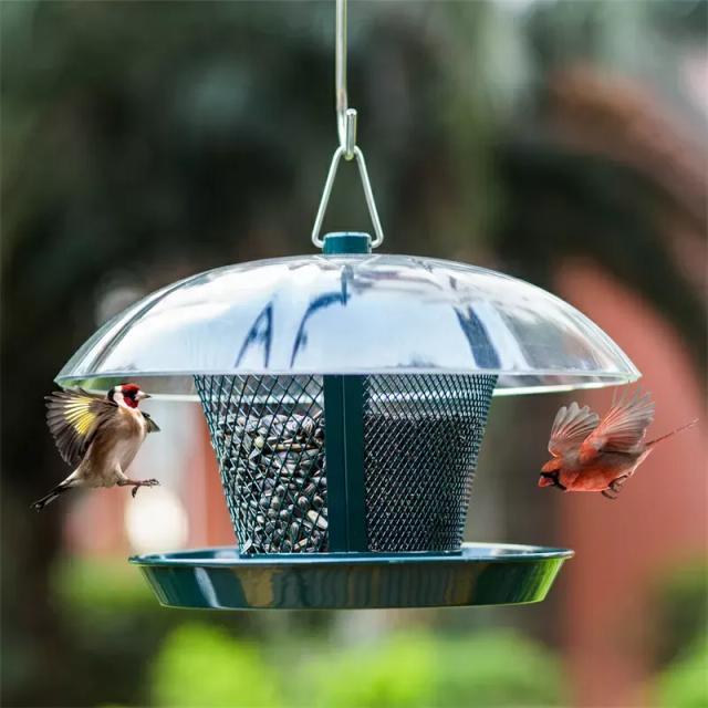 Kingsyard Dual-Use Metal Mesh Wild Bird Feeder with Weatherproof Dome