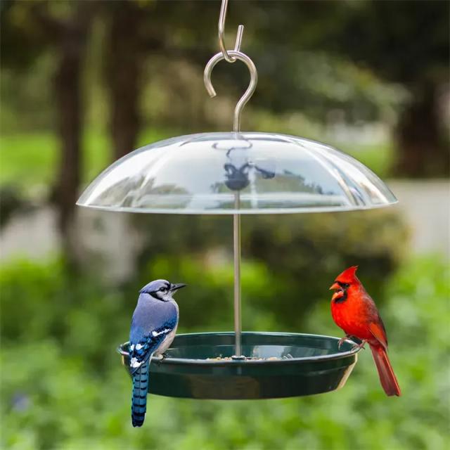 Kingsyard Adjustable Platform Bird Feeder with Squirrel Proof Design