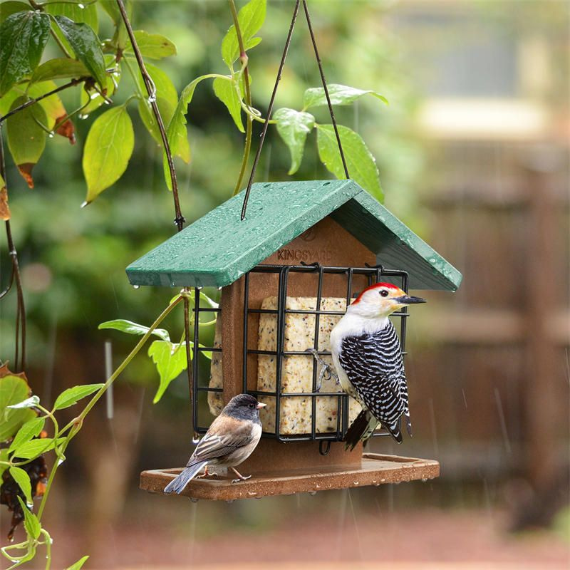 Kingsyard Recycled Plastic Suet Bird Feeders