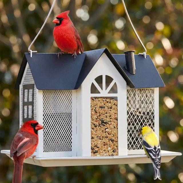 Kingsyard Metal House Bird Feeder with Large Tray