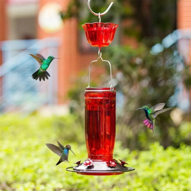 Kingsyard 16oz Glass Hummingbird Feeder With Ant Moat