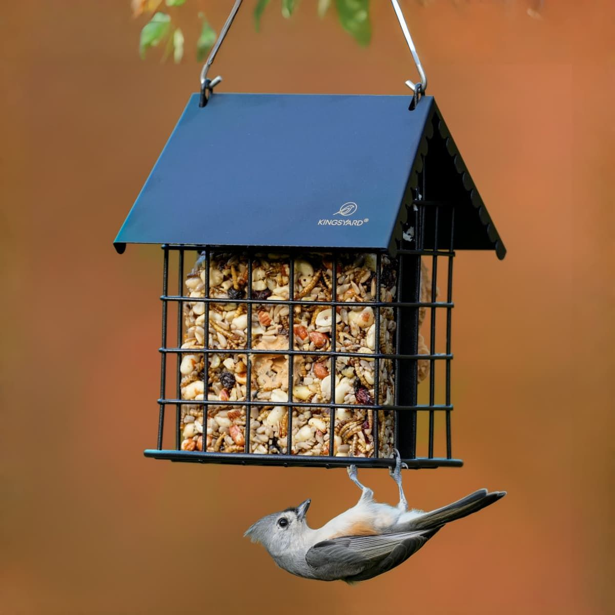 Kingsyard Suet Bird Feeder with Roof and Perch
