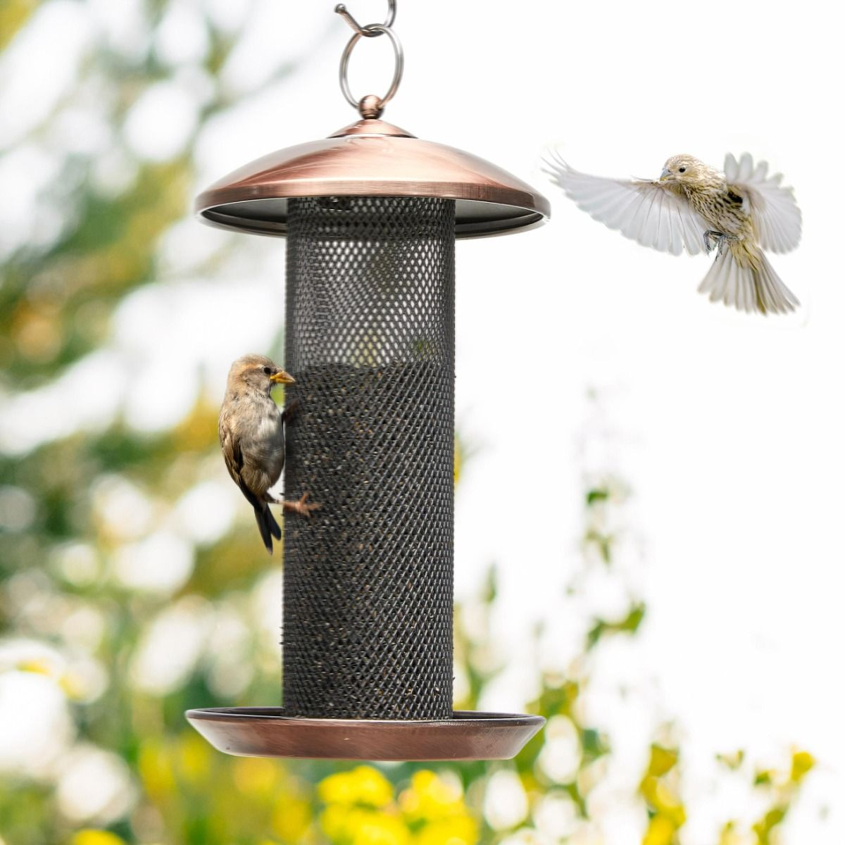 Kingsyard Metal Mesh Finch Feeder for Thistle & Nyjer Seed