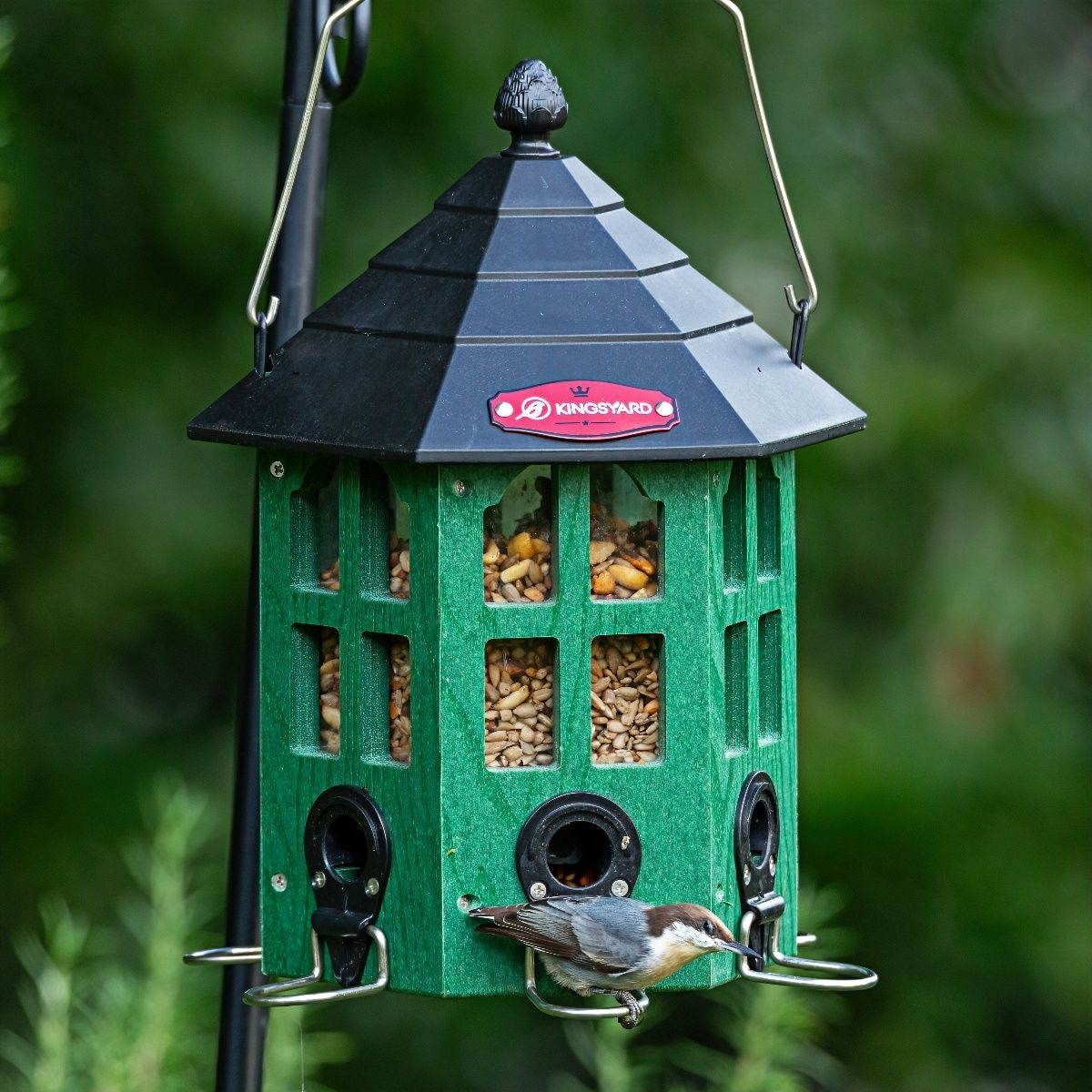 Kingsyard Wild Bird Feeder for Outside Hanging