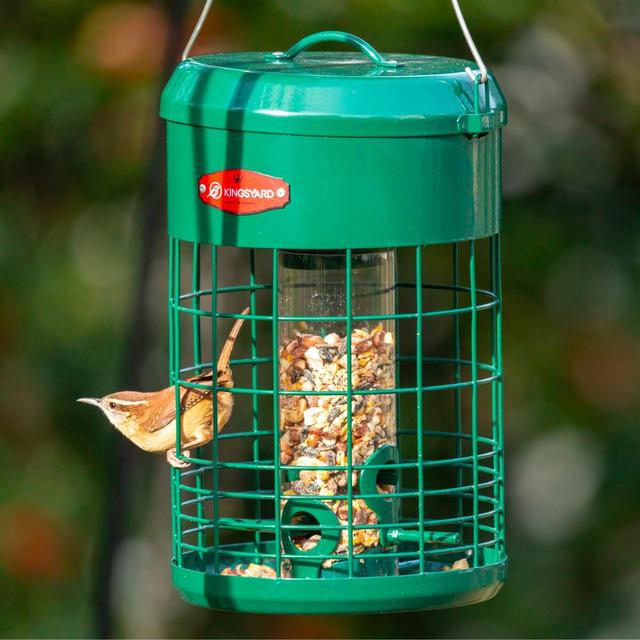 Kingsyard Caged Squirrel Proof Tube Feeder with Weatherproof Design