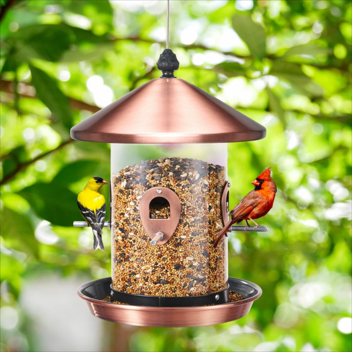 Kingsyard Weatherproof Tube Bird Feeder with 4 Ports