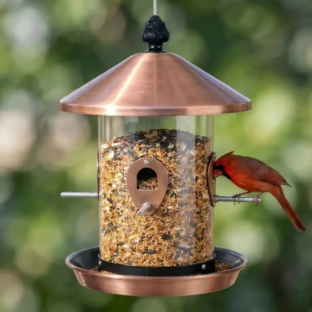 Kingsyard Weatherproof Tube Bird Feeder with 4 Ports
