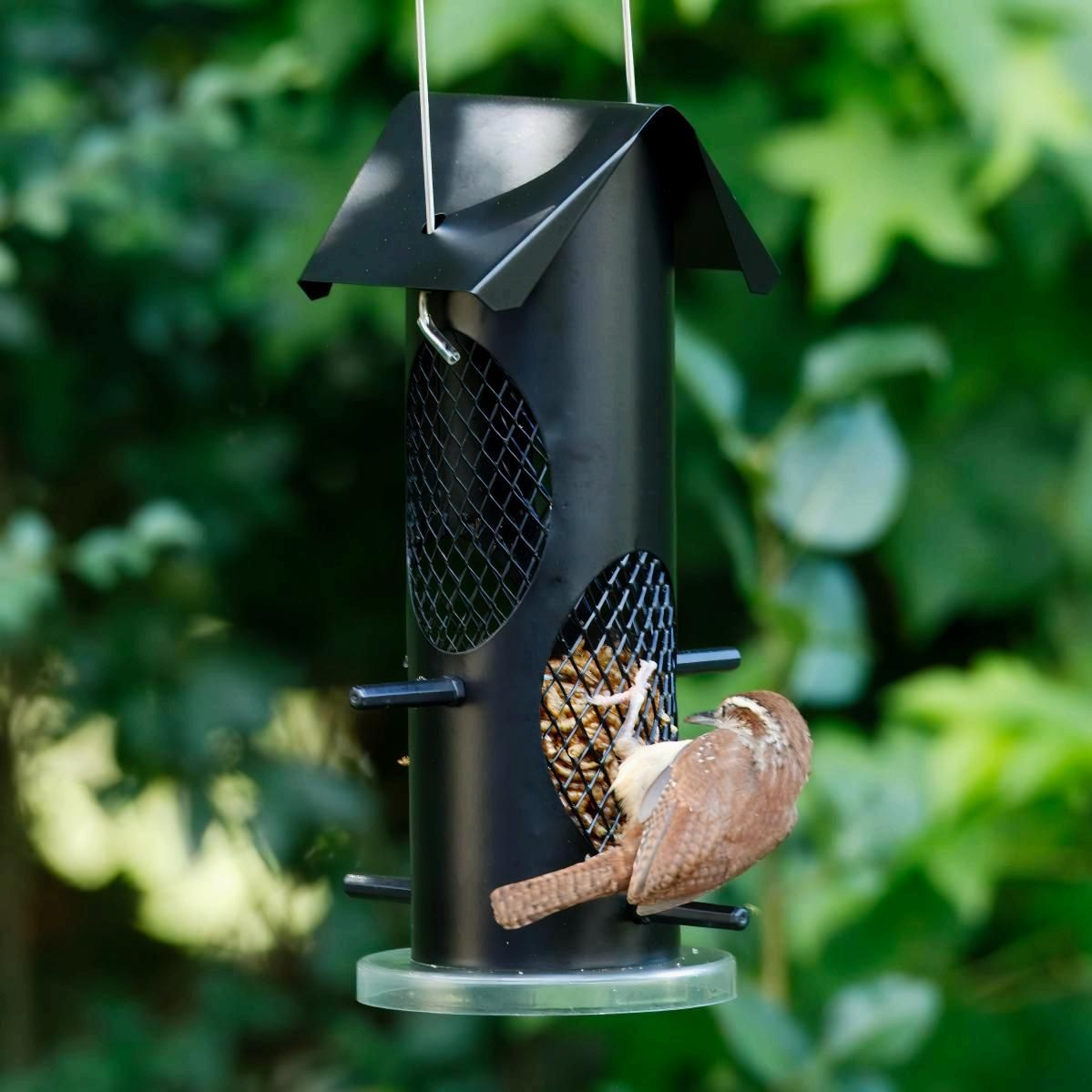 Kingsyard Squirrel Proof Mealworm Tube Bird Feeder