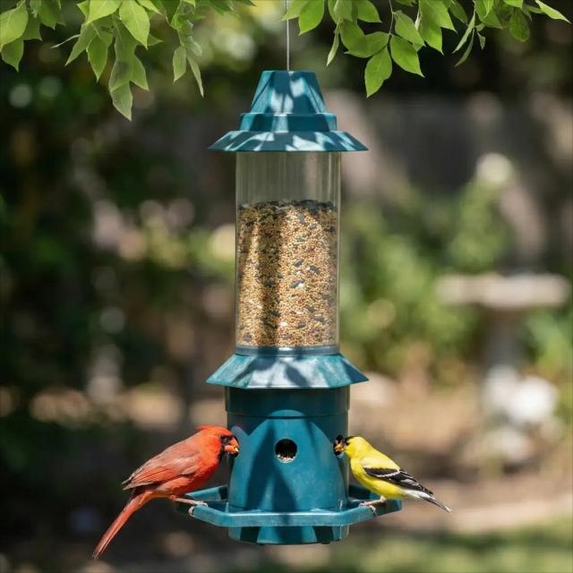 Kingsyard Squirrel Proof Weight Sensing Hanging Tube Bird Feeder