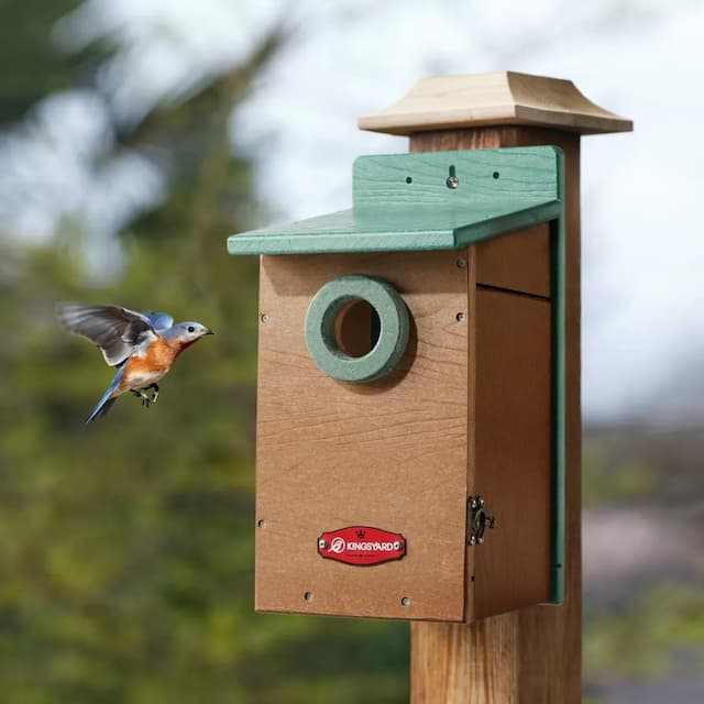 Kingsyard Durable Bluebird House with 1.5'' Hole for Outdoor Nesting