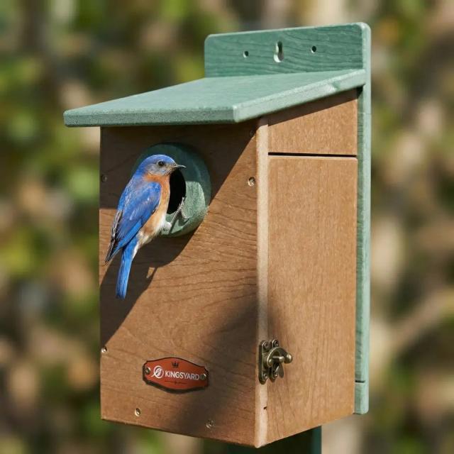 Kingsyard Durable Bluebird House with 1.5'' Hole for Outdoor Nesting