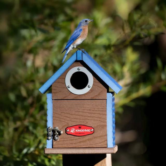 Kingsyard Weatherproof Wooden Bluebird House with 1.5'' Hole for Outdoor Nesting