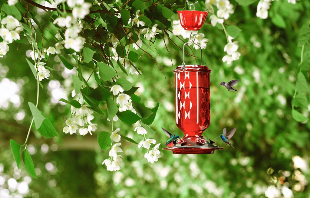 red hummingbird feeder hanging in the tree.