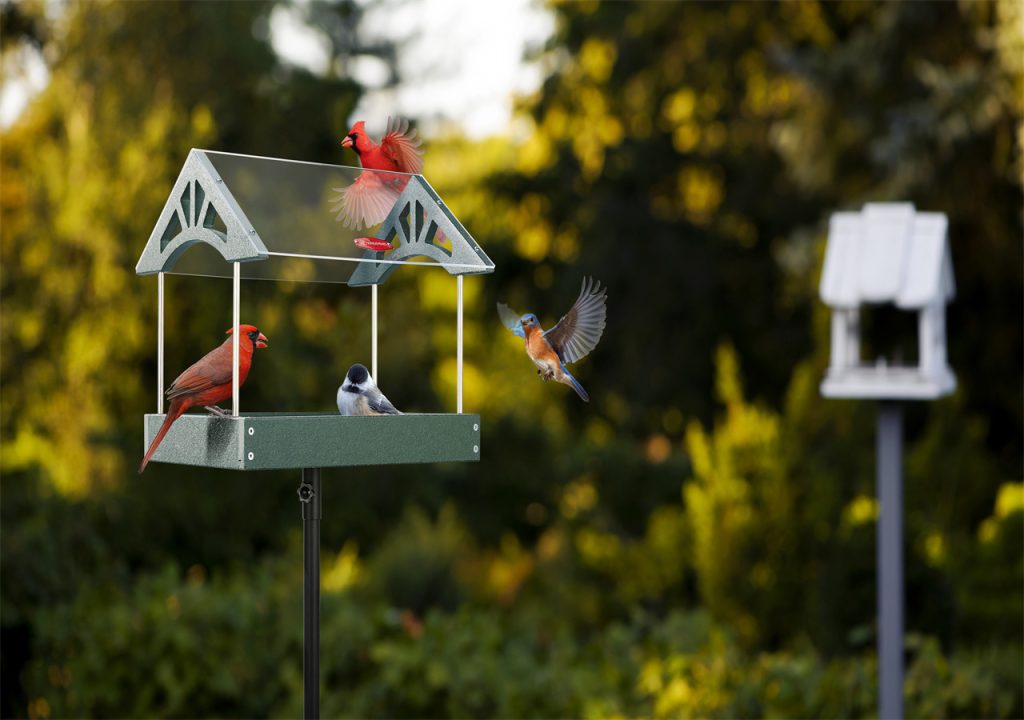 A flock of hummingbird are gathering in the bird feeder