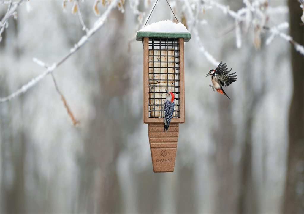 In winter, two birds are flying around the bird feeder, and they are eager to have a delicious breakfast.