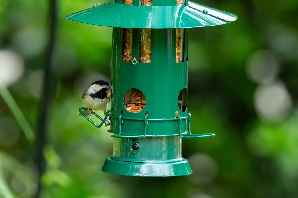 A bird feeder with a small bird perched on the edge, surrounded by greenery in a sunny outdoor setting.