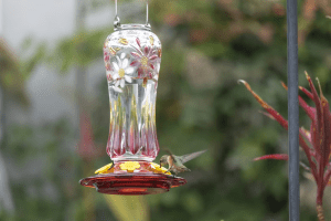 Kingsyard hummingbird feeder