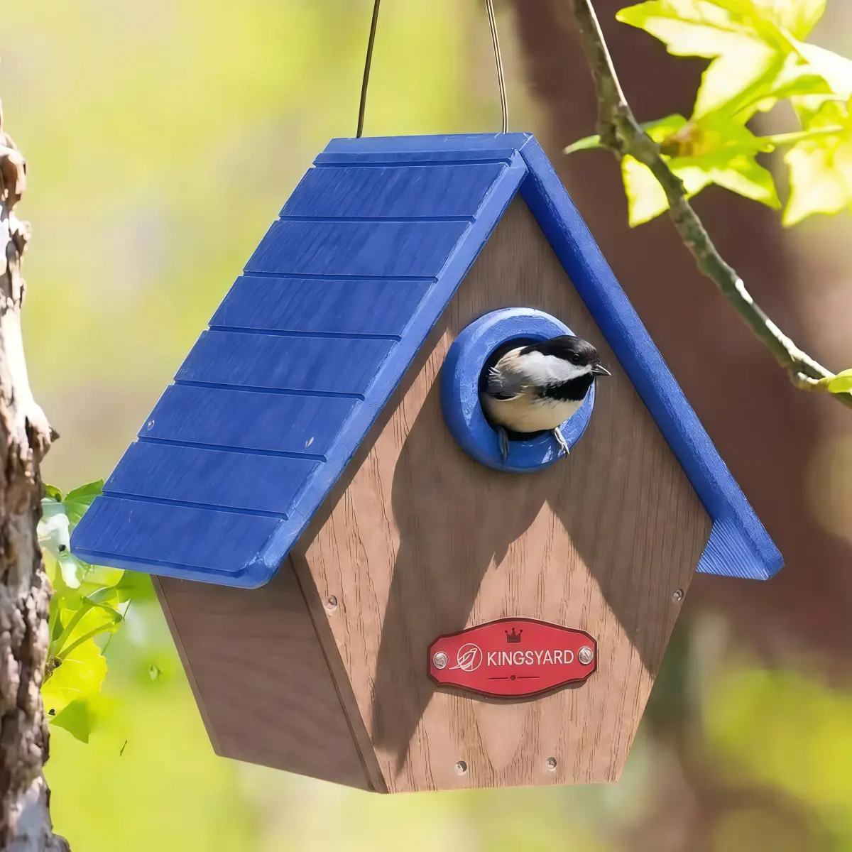 Kingsyard blue-roof bird house with a chickadee at the entrance