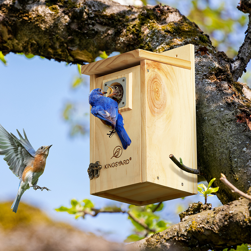 Kingsyard Wooden Bluebird House with Predator Guard, Wren Houses