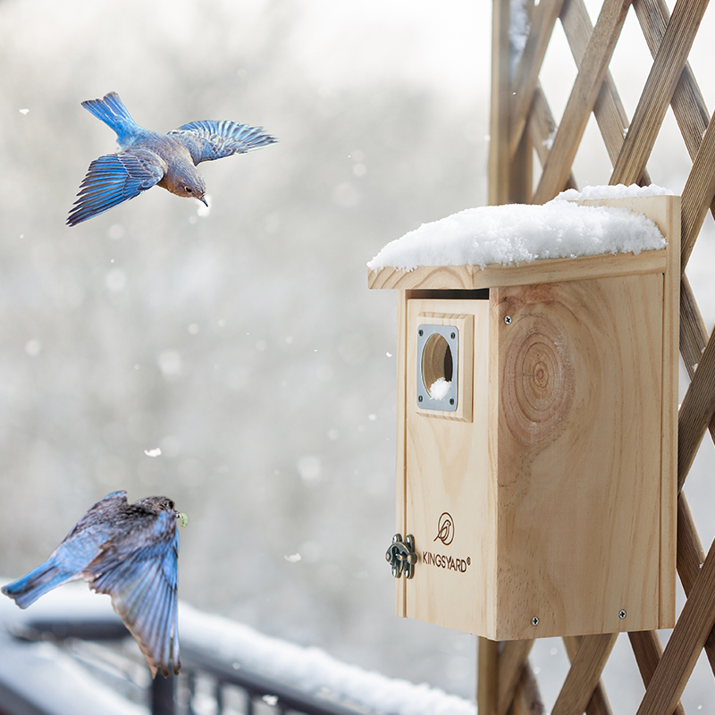 Kingsyard Wooden Bluebird House with Predator Guard, Wren Houses