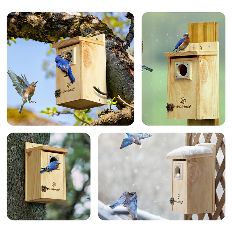 Kingsyard Wooden Bluebird House with Predator Guard, Wren Houses