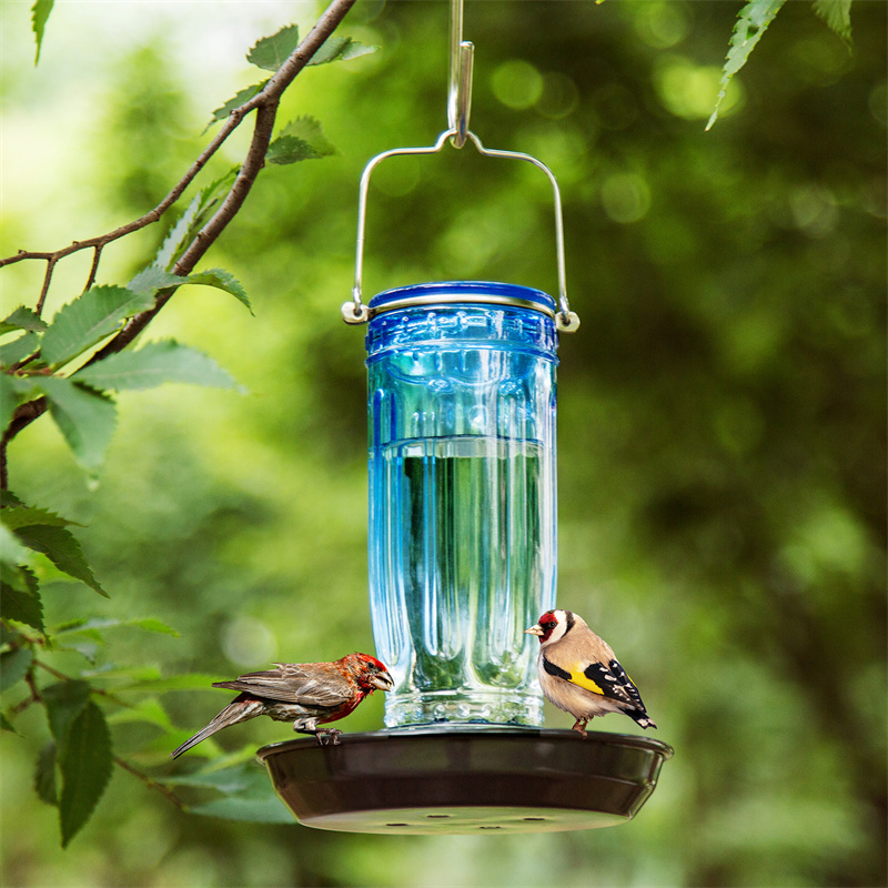 Glass bird water feeder hotsell