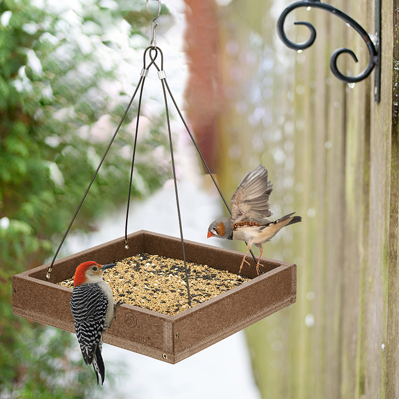 How To Keep Rats Away From Bird Feeders Our List Of Do's