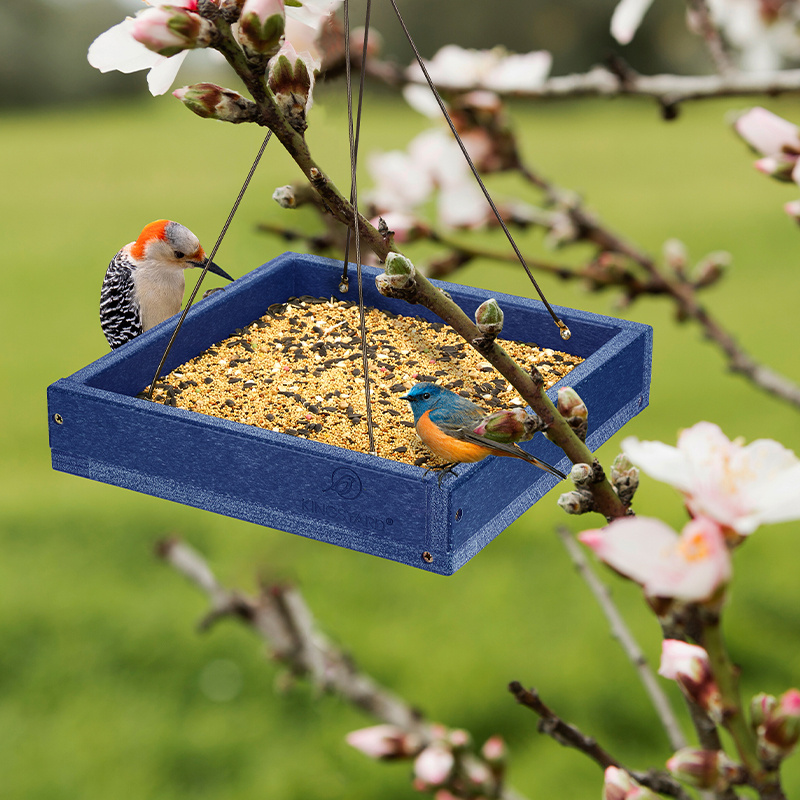Kingsyard Large Capacity Platform Bird Feeder, Blue Jay Feeders