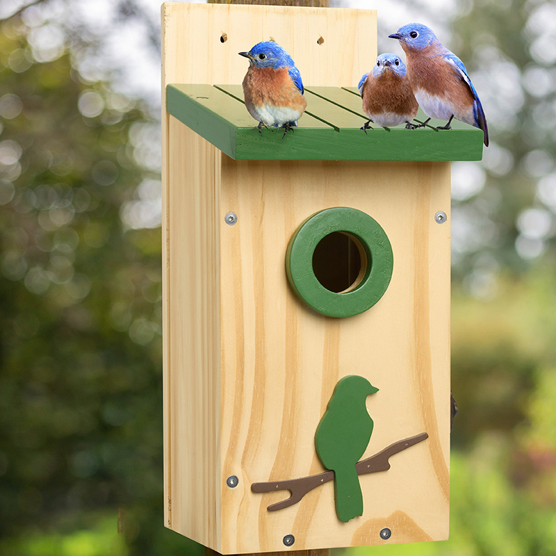 Budgie house sales