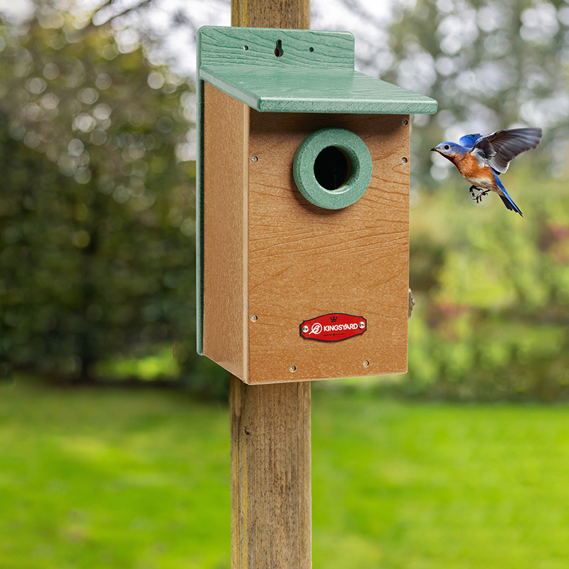 Kingsyard Recycled Plastic Bluebird House in Green for KYBH106CP