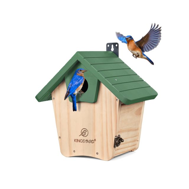 What Color Bird Houses Attract Birds: Top Colors for More Visitors