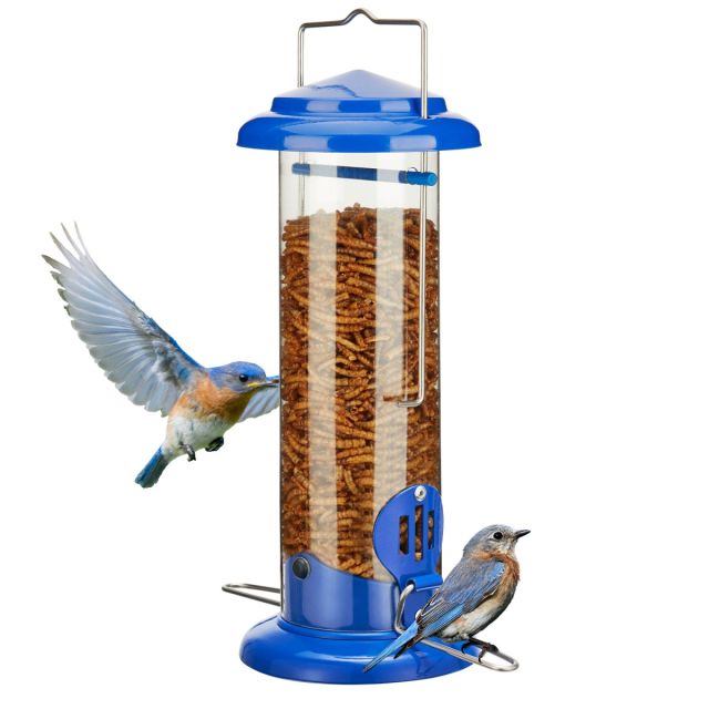 What Type of Bird Feeder to Use for Meal Worms: Top Picks Revealed
