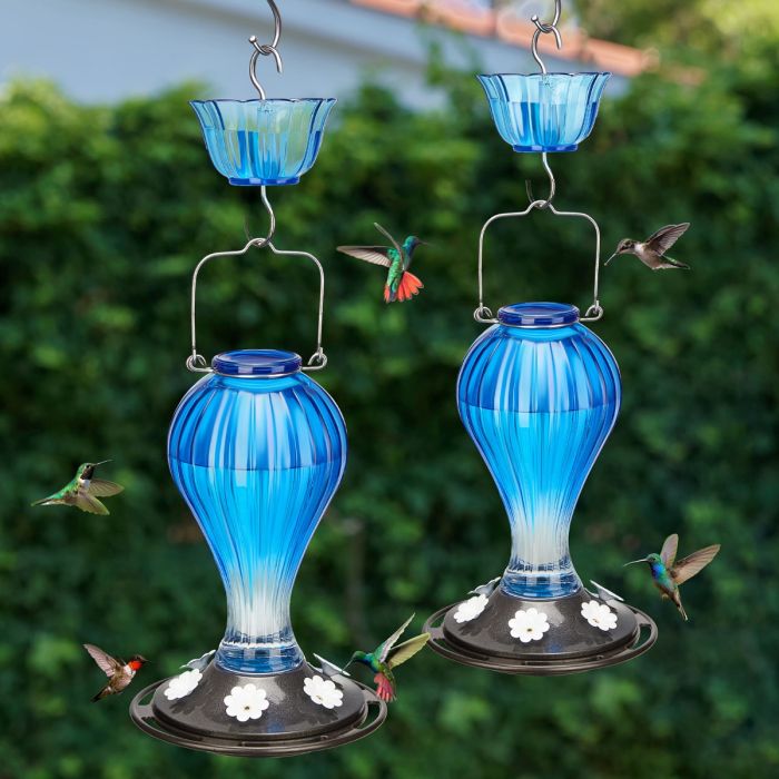 Blue Kingsyard 24oz Leak Proof Glass Hummingbird Feeder with Ant Moat 1 Blue Kingsyard 24oz Leak Proof Glass Hummingbird Feeder with Ant Moat 1