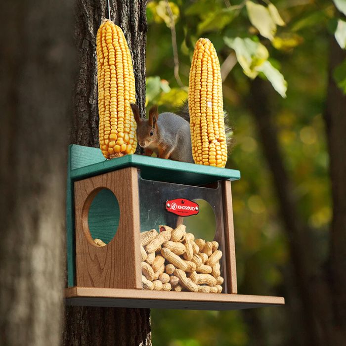 Kingsyard Recycled Plastic Squirrel Feeder Box 1 Kingsyard Recycled Plastic Squirrel Feeder Box 1