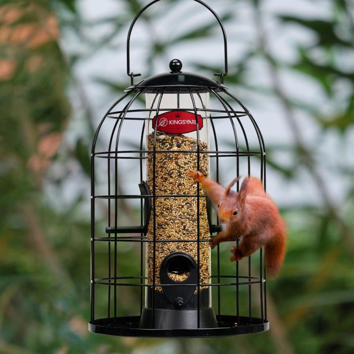 Black Kingsyard Caged Squirrel Proof Tube Feeder with Rainproof Design 9 Black Kingsyard Caged Squirrel Proof Tube Feeder with Rainproof Design 9