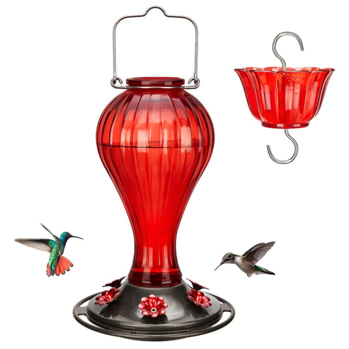 Kingsyard 24oz Leak Proof Glass Hummingbird Feeder with Ant Moat 5 Kingsyard 24oz Leak Proof Glass Hummingbird Feeder with Ant Moat 5