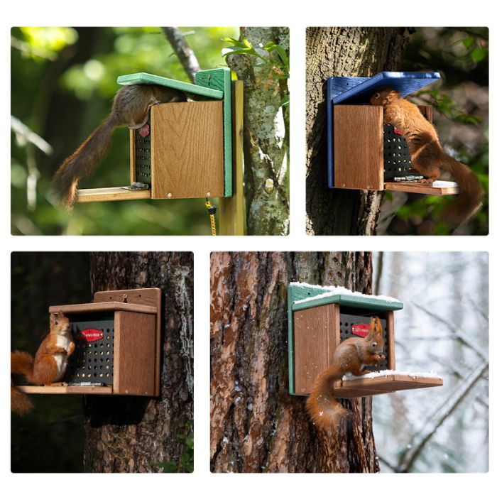 Kingsyard Recycled Plastic Squirrel Feeder 5