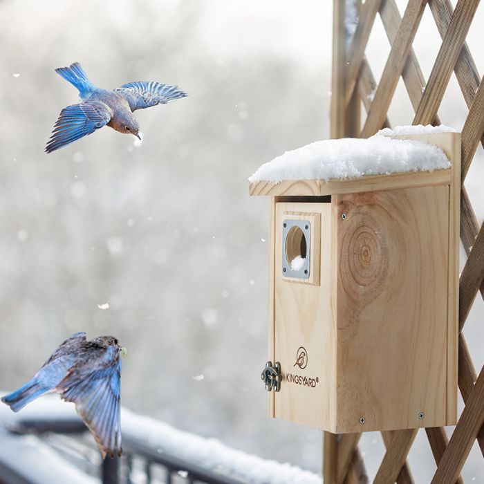 Kingsyard Classic Wooden Bluebird House with 1.5'' Hole 4 Kingsyard Classic Wooden Bluebird House with 1.5'' Hole 4