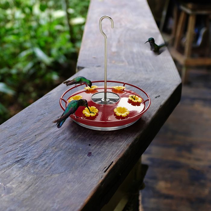 Kingsyard 12oz Tray Hummingbird Feeder With Ant Moat 11