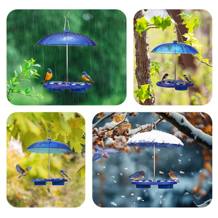 Kingsyard Recycled Plastic Platform Bird Feeder with Dome Top 5 Kingsyard Recycled Plastic Platform Bird Feeder with Dome Top 5